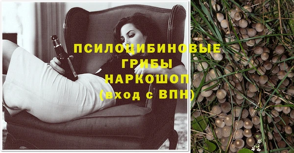mdpv Алзамай