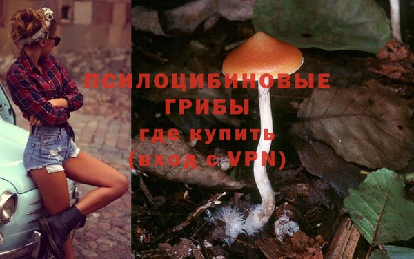 круглые Алексин