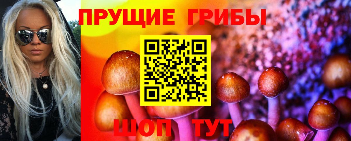 Псилоцибиновые грибы GOLDEN TEACHER Усолье-Сибирское
